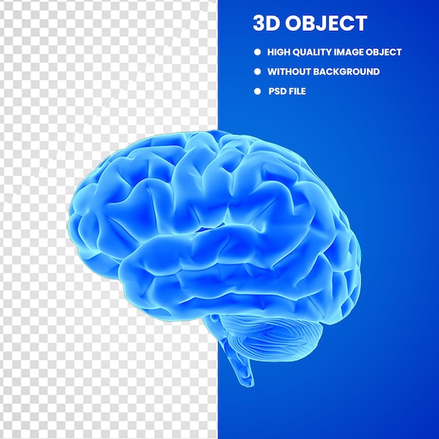Cerveau bleu
