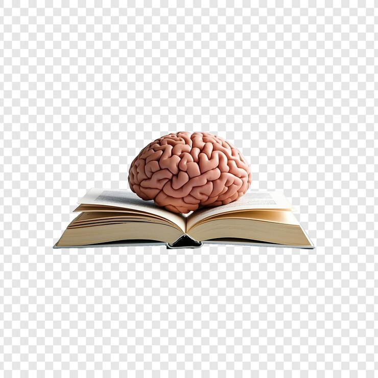 PSD le cerveau sur un livre