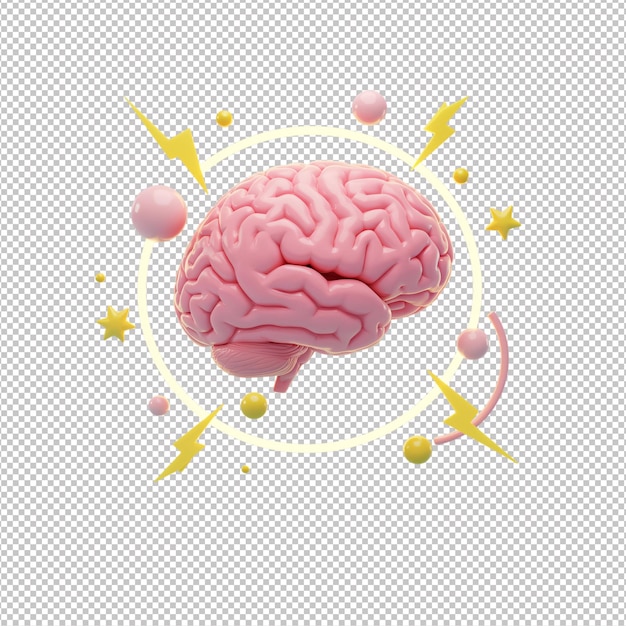 Le cerveau rose en 3D