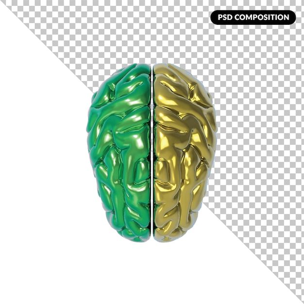 Un cerveau vert rendu 3d isolé