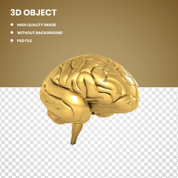 Cervello color oro 3d