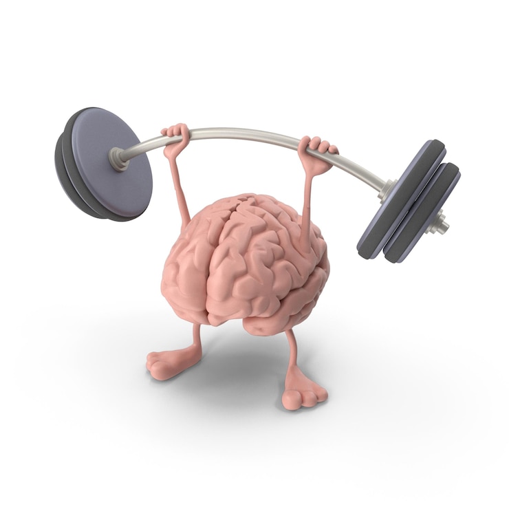 PSD cervello umano 3d con dettagli realistici modello cerebrale medico di alta qualità neuroscienza e anatomia
