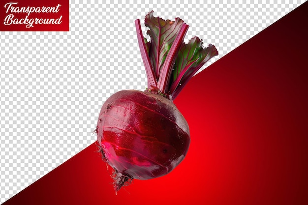 Červená řepa izolovaná na bílém pozadí