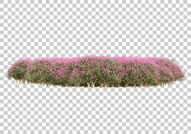 Césped de hierba en la ilustración de renderizado 3d de fondo transparente