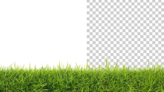 Césped de hierba verde aislado en un fondo blanco Césped perfectamente suave primer plano 3d render