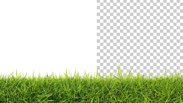 Césped de hierba verde aislado en un fondo blanco césped perfectamente suave primer plano 3d render