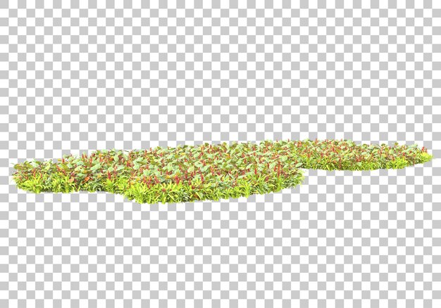 Césped verde sobre fondo transparente Ilustración de renderizado 3d