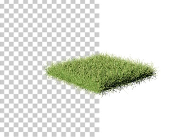 Césped