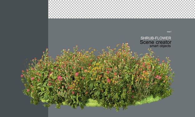 Cespugli e fiori di vari colori in un piccolo giardino