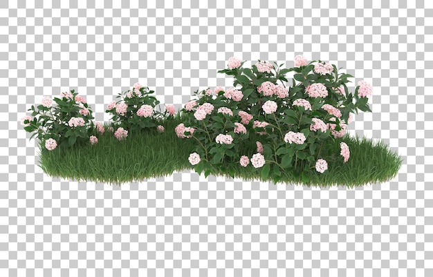 Champ De Fleurs Sur Fond Transparent. Rendu 3d - Illustration