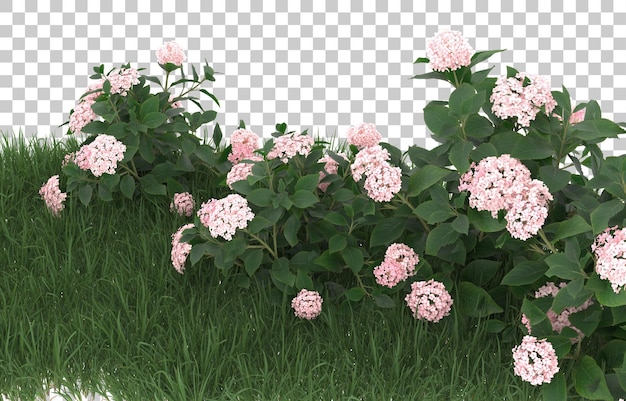 Champ De Fleurs Sur Fond Transparent. Rendu 3d - Illustration