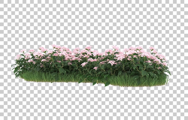 Champ De Fleurs Sur Fond Transparent. Rendu 3d - Illustration