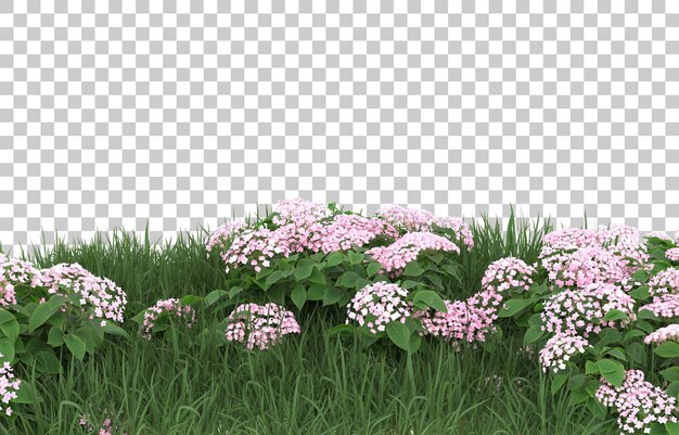 Champ De Fleurs Sur Fond Transparent. Rendu 3d - Illustration