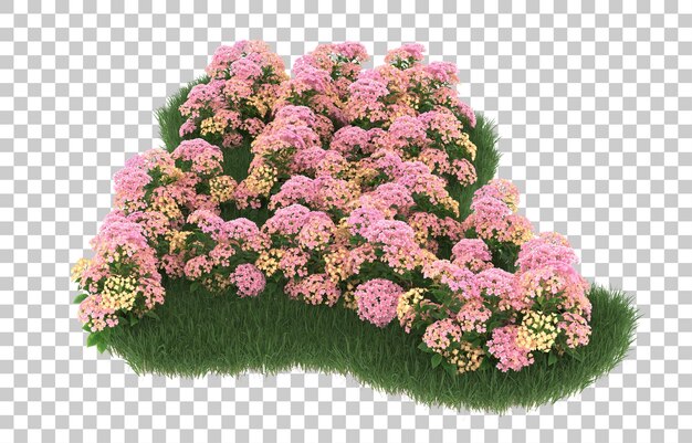 PSD champ de fleurs sur fond transparent. rendu 3d - illustration