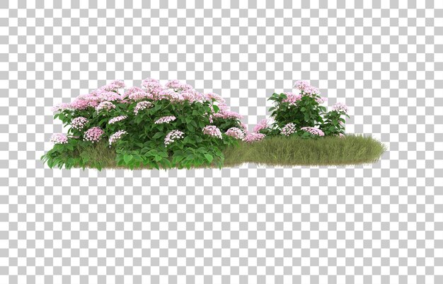 Champ D'herbe Avec Des Fleurs Sur Fond Transparent. Rendu 3d - Illustration