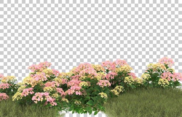 Champ D'herbe Avec Des Fleurs Sur Fond Transparent. Rendu 3d - Illustration