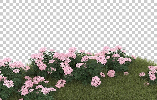 Champ D'herbe Avec Des Fleurs Sur Fond Transparent. Rendu 3d - Illustration