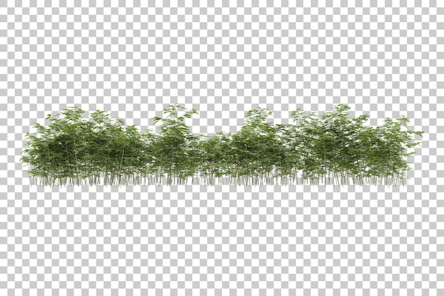 Champ D'herbe Avec Fond Transparent Illustration De Rendu 3d