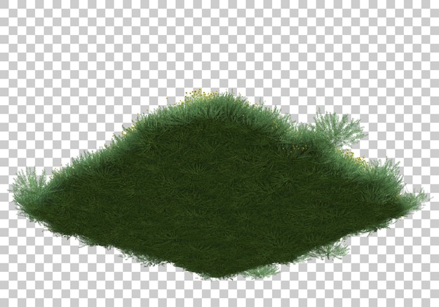 Champ D'herbe Sur Fond Transparent Illustration De Rendu 3d