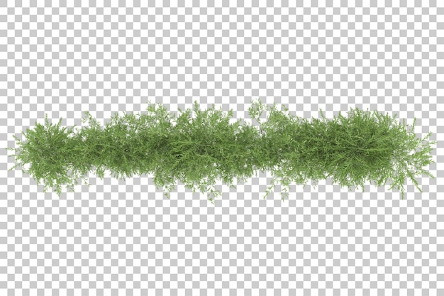 Champ d'herbe avec fond transparent illustration de rendu 3d