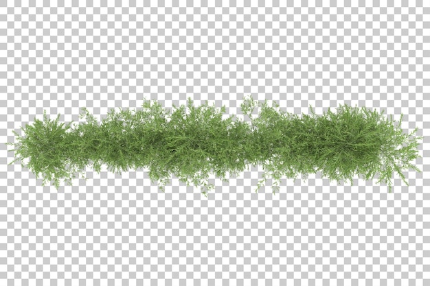 Champ D'herbe Avec Fond Transparent Illustration De Rendu 3d