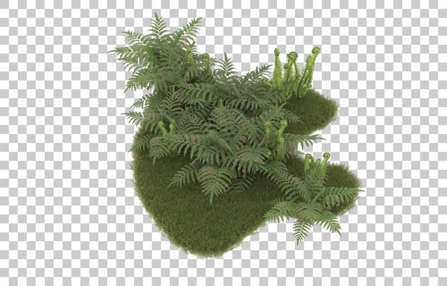 Champ D'herbe Sur Fond Transparent. Rendu 3d - Illustration