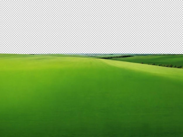 Un champ vert avec un fond flou