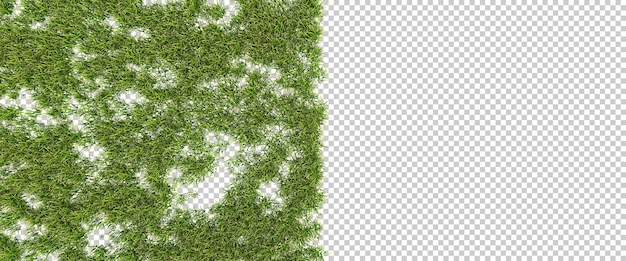 PSD champ vert d'herbe avec des fleurs sur fond transparent illustration de rendu 3d