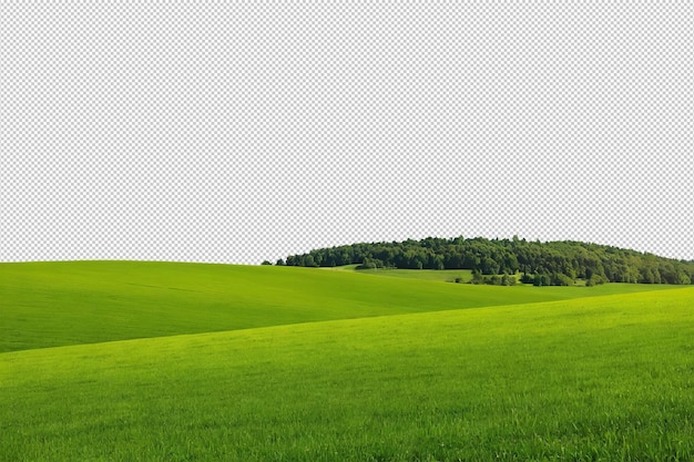 Le champ vert