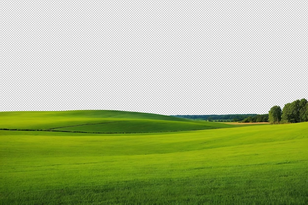 Le champ vert