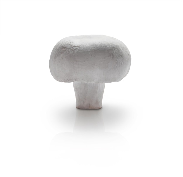 PSD champignon isolé sur fond blanc image stock