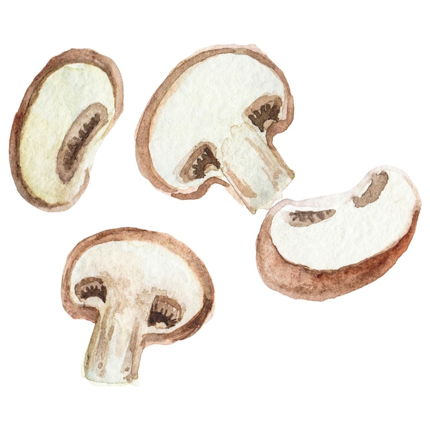 Champignon pintado en acuarela, elemento de diseño de alimentos frescos dibujado a mano aislado sobre un fondo transparente