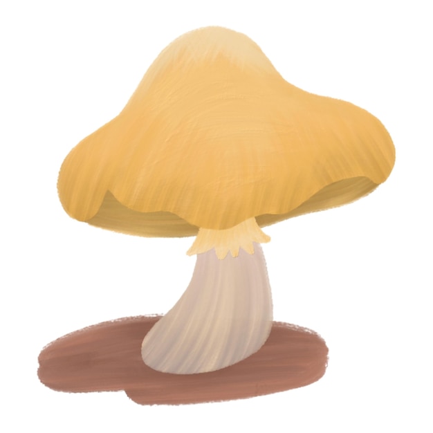 PSD des champignons mignons avec un style de peinture