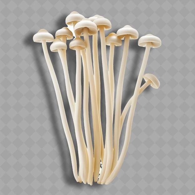 Champignons De Paille Png Des Grappes De Tiges Blanches Minces Avec De Minuscules Légumes Propres Et Frais Isolés En Ca