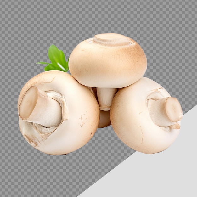 PSD champignons png isolés sur un fond transparent