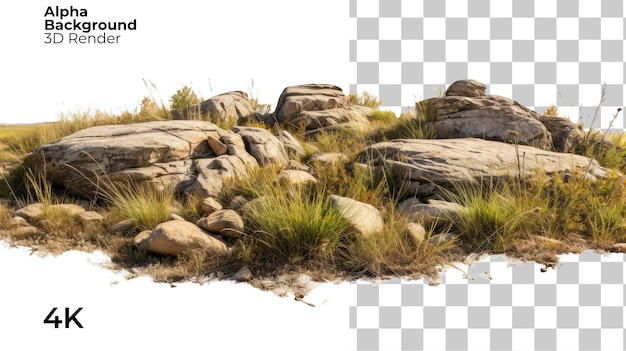 PSD des champs d'herbe de savane, des prairies avec des rochers sur un fond blanc