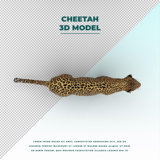 PSD cheetah