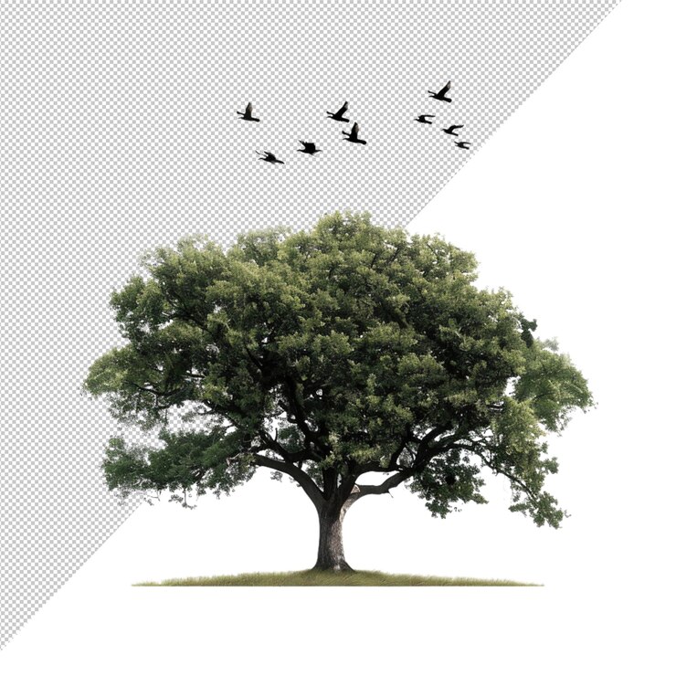 PSD un chêne naturel avec des oiseaux