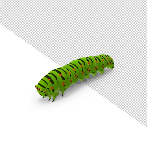 Chenille PNG