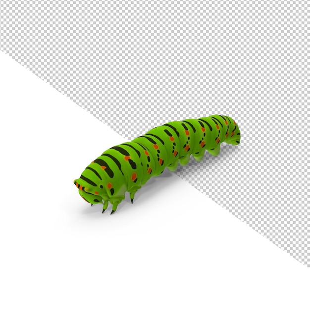 PSD chenille png