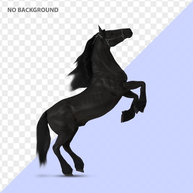 le cheval noir