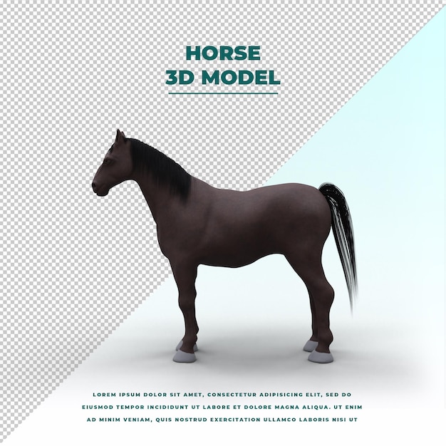 le cheval