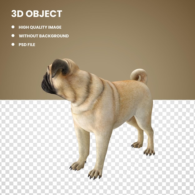 Chien De L'espèce Pug 3d