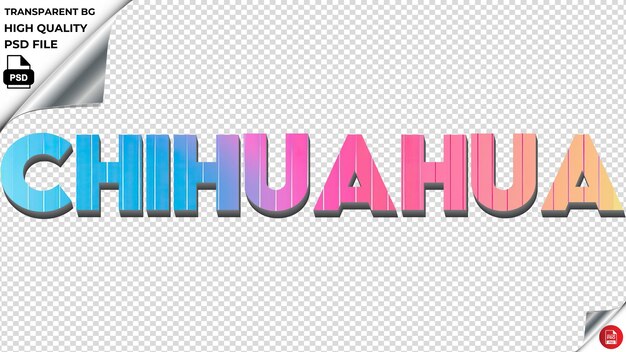 Chihuahua La Typographie Est Un Arc-en-ciel Coloré La Texture Du Texte Est Psd Transparente