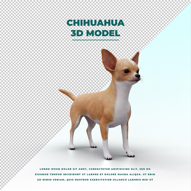PSD chihuahua