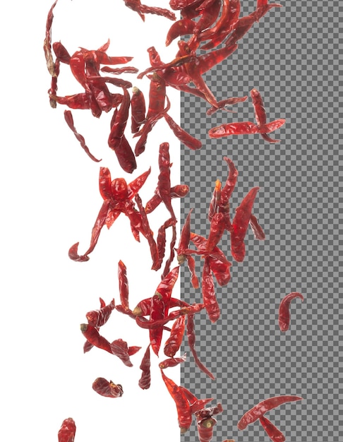 Chilli rojo caliente seco cae explosión chilli rojo seco flota explotan nube abstracta vuela chilli roja seco salpicaduras lanzando en aire fondo blanco movimiento de congelación de obturador de alta velocidad aislado