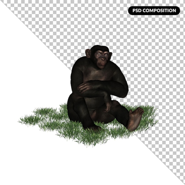 PSD chimpancé zoológico animal aislado representación 3d