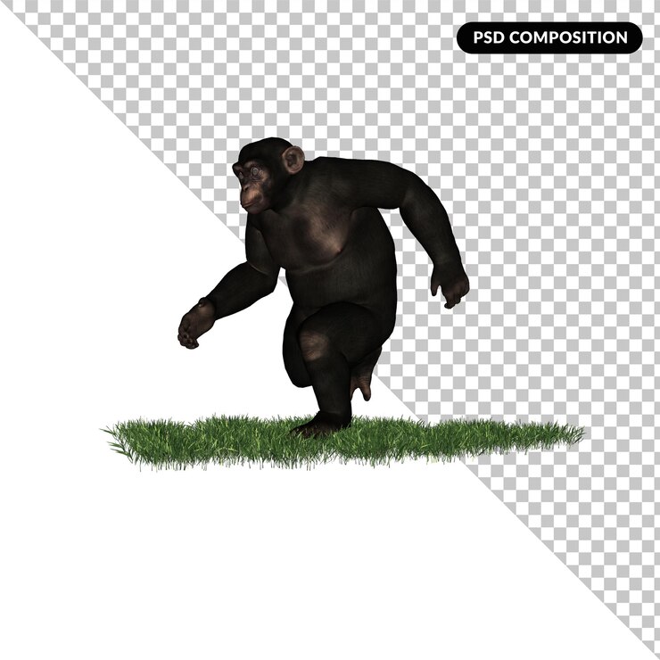 PSD chimpancé zoológico animal aislado representación 3d