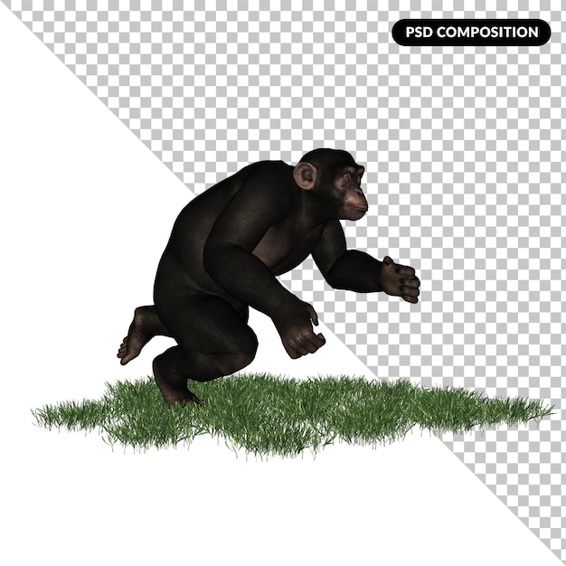 PSD chimpanzé zoo animal isolé rendu 3d