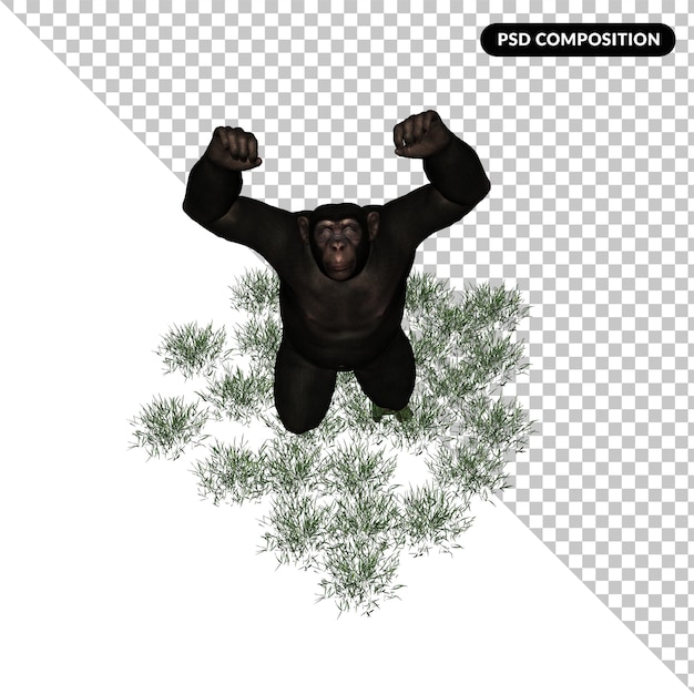 PSD chimpanzé zoo animal isolé rendu 3d